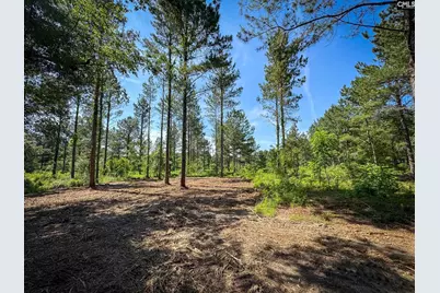 0 Lewis Waters Road Lot 1, Leesville, SC 29070 - Photo 1