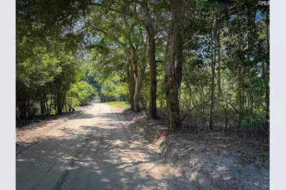 0 Lewis Waters Road Lot 1, Leesville, SC 29070 - Photo 2