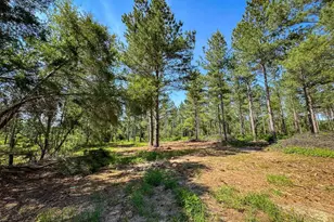 0 Lewis Waters Road Lot 2, Leesville, SC 29070 - Photo 1