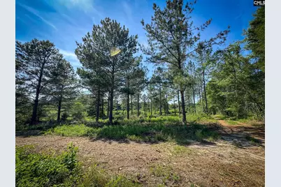 0 Lewis Waters Road Lot 2 #Lot 2, Leesville, SC 29070 - Photo 2
