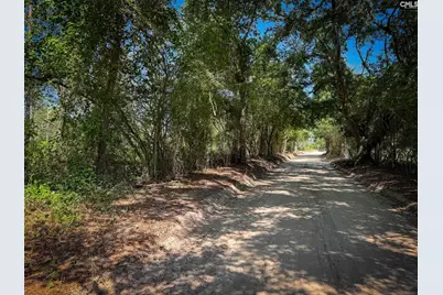 0 Lewis Waters Road Lot 2 #Lot 2, Leesville, SC 29070 - Photo 4