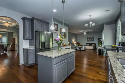 536 Lever Hill Court, Chapin, SC 29036 - Photo 28