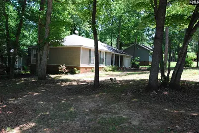 223 Raintree Drive, Irmo, SC 29063 - Photo 2