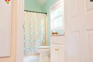 313 Carola Ln, Lexington, SC 29072 - Photo 24