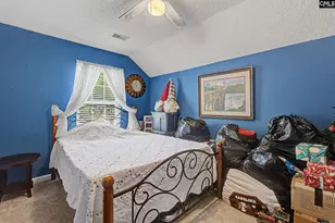 205 Coopers Hawk Cir, Irmo, SC 29063 - Photo 42