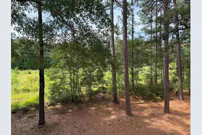 29 Battery Walk Court, Columbia, SC 29212 - Photo 20