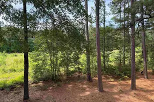 29 Battery Walk Ct, Columbia, SC 29212 - Photo 20