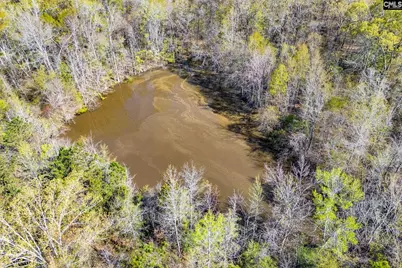3941 Holley Ferry Road, Leesville, SC 29070 - Photo 10