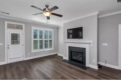 222 Bowyer Court, Chapin, SC 29036 - Photo 4