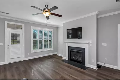 222 Bowyer Court, Chapin, SC 29036 - Photo 4