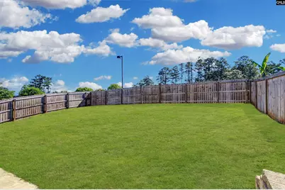 222 Bowyer Court, Chapin, SC 29036 - Photo 26