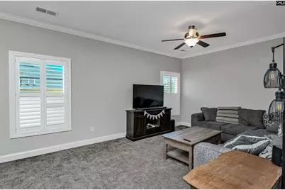 222 Bowyer Court, Chapin, SC 29036 - Photo 20