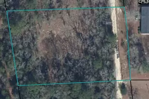 Possum Trail, Bamberg, SC 29003 - Photo 1