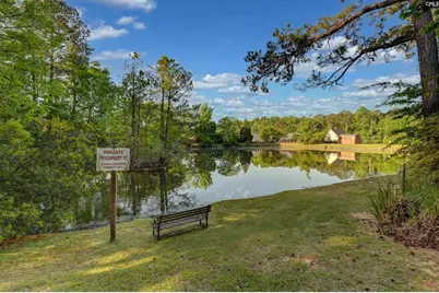 121 Wandering Brook Road, Irmo, SC 29063 - Photo 10