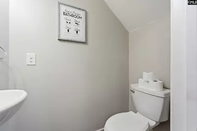 137 Cassique Drive, Lexington, SC 29073 - Photo 12