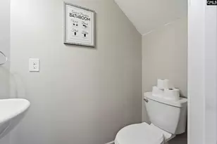 137 Cassique Dr, Lexington, SC 29073 - Photo 12