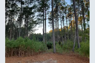 657 Old Field Road #3, Leesville, SC 29070 - Photo 2