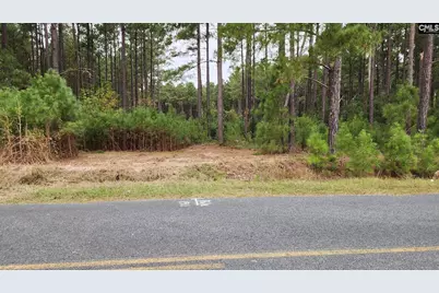 657 Old Field Road #3, Leesville, SC 29070 - Photo 1