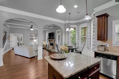 239 View Drive, Blythewood, SC 29016 - Photo 12