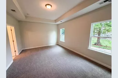 345 Hollow Cove Road, Chapin, SC 29036 - Photo 4