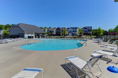 1103 Bergenfield Lane, Chapin, SC 29036 - Photo 42