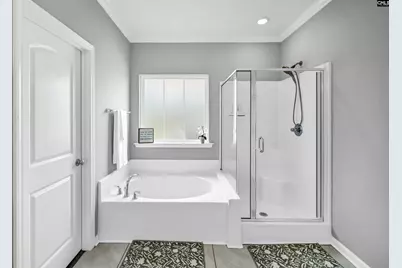 1103 Bergenfield Lane, Chapin, SC 29036 - Photo 10