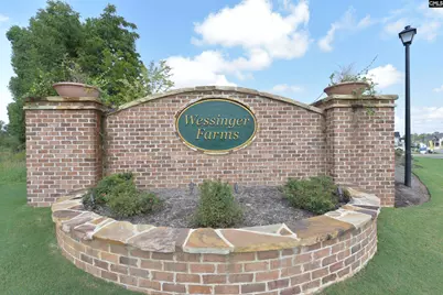 1103 Bergenfield Lane, Chapin, SC 29036 - Photo 46