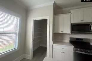 516 Mitscher Wy, Chapin, SC 29036 - Photo 12
