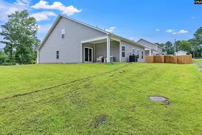 152 Calm Citadel Drive, Pelion, SC 29123 - Photo 4