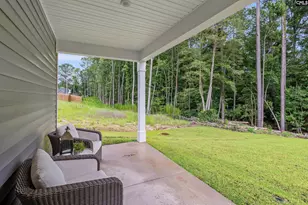152 Calm Citadel Dr, Pelion, SC 29123 - Photo 10