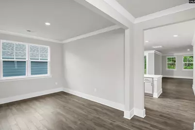 125 Sunny Stream Drive, Chapin, SC 29054 - Photo 4