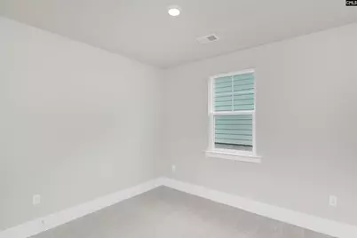 125 Sunny Stream Drive, Chapin, SC 29054 - Photo 18