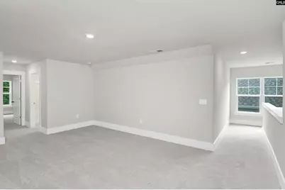 125 Sunny Stream Drive, Chapin, SC 29054 - Photo 24