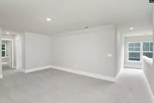 125 Sunny Stream Dr, Chapin, SC 29054 - Photo 24