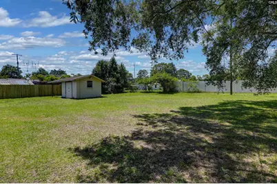 303 Nell Street, Batesburg, SC 29006 - Photo 8