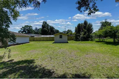 303 Nell Street, Batesburg, SC 29006 - Photo 6