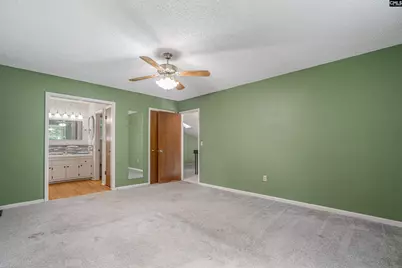118 Temple Walk Road, Irmo, SC 29063 - Photo 14