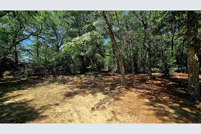 624 Lawson Road, Leesville, SC 29070 - Photo 34