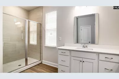 129 Sunny Stream Drive, Chapin, SC 29054 - Photo 16