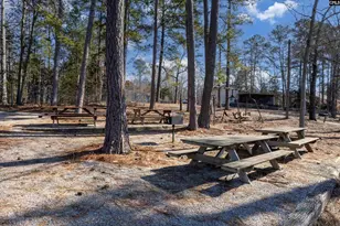 600 Newberry Dr, Chapin, SC 29036 - Photo 36