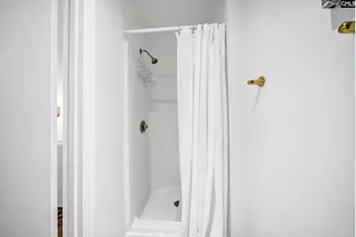 924 Briar Bush Lane, West Columbia, SC 29172 - Photo 60