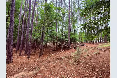 Lot 84 Timber Trail Lane #84, Prosperity, SC 29127 - Photo 10