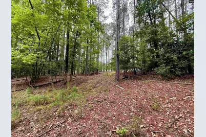 Lot 84 Timber Trail Lane #84, Prosperity, SC 29127 - Photo 6