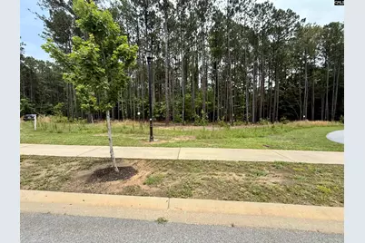 Lot 84 Timber Trail Lane #84, Prosperity, SC 29127 - Photo 2
