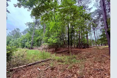 Lot 85 Timber Trail Lane #85, Prosperity, SC 29127 - Photo 6