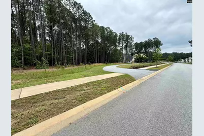 Lot 85 Timber Trail Lane #85, Prosperity, SC 29127 - Photo 4