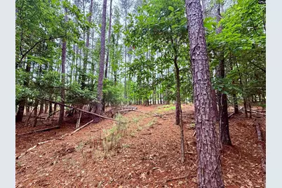 Lot 85 Timber Trail Lane #85, Prosperity, SC 29127 - Photo 8