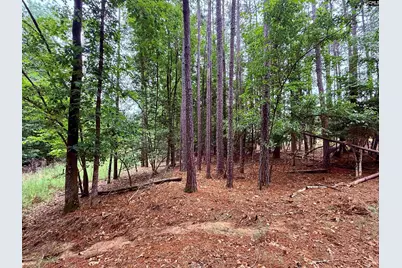 Lot 85 Timber Trail Lane #85, Prosperity, SC 29127 - Photo 10
