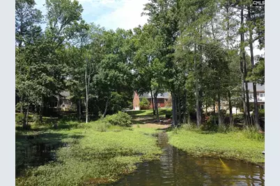 308 Night Harbor Drive, Chapin, SC 29036 - Photo 54