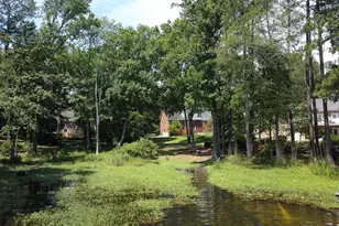 308 Night Harbor Dr, Chapin, SC 29036 - Photo 54